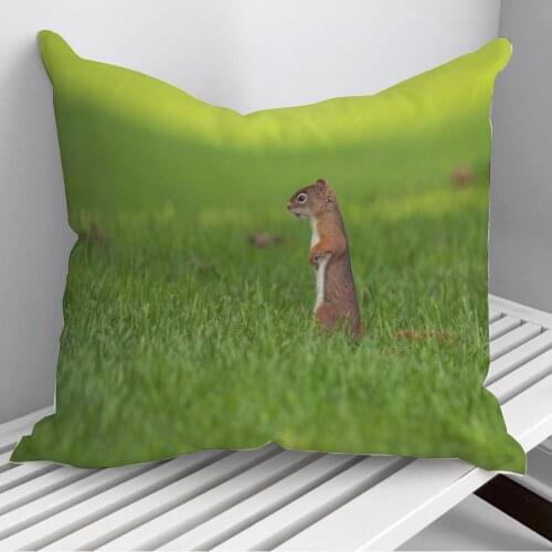 Attentive Squirrel Throw Pillows Cushion Cover On Sofa Home Decor 45*45cm 40*40cm Gift Pillowcase Cojines Dropshipping