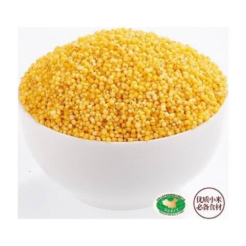 China High Quality loess plateau Organic Millet A Chinese Small Yellow Rice Sleep aid Natural Nutritional Green Food tea