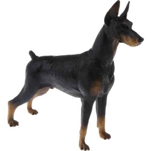 Realistic Doberman Model PVC Farm Animal Model Figurine Action Figures Playset Kids Educational Toy Collectibles