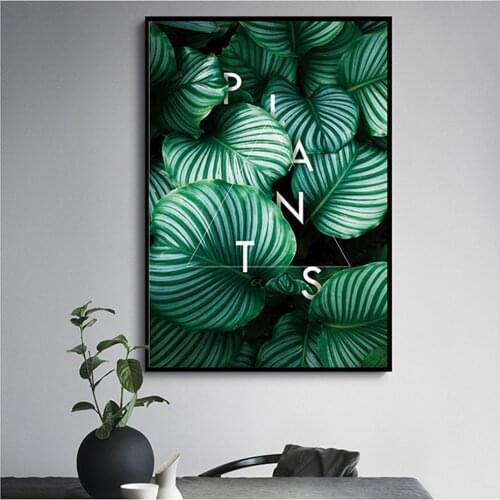 Nordic Minimalist Tropical Green Plants Wall Art Canvas Paintings Natural Wall Prints Posters on Canvas Living Room Home Decor