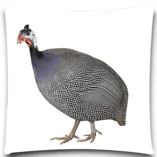 Strange chicken and cute pig Decorative Square 16 18 20 inch 2D Printed Pillow Case cotton polyester Funny Festival Supply