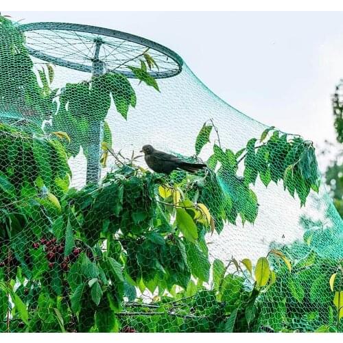 Anti Bird Netting Green Pond Fruit Tree Vegetables Net Protection Crops Flower Garden Mesh Protect Reusable Fence Drop Shipping