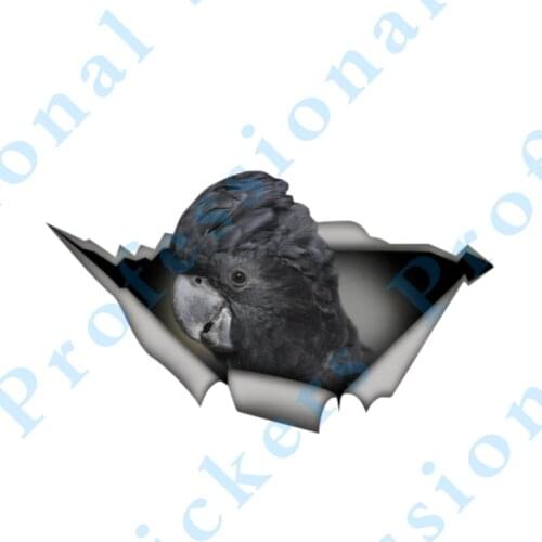 3D Animal 13 x 4.8 Blue Fronted parrot Sticker Torn Metal Vinyl Decal Lovely Car Stickers Motorcycle Trunk Animal 3D Car Styling