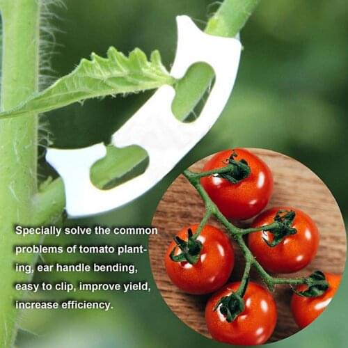 100pcs/lot Vegetables Tomato Fixing Clips To Prevent Bending Support Clamp Fruit Flower Green Plant Seedling Reinforcement Clips