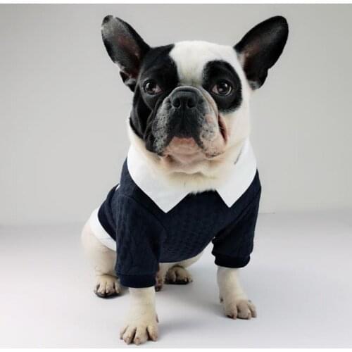 Leisure Pet Dog Clothes Gentle Pets Clothing for Dogs Sweatershirt Bow Tie Puppy Dog Clothes Winter Soft Pet Clothing Ropa Perro