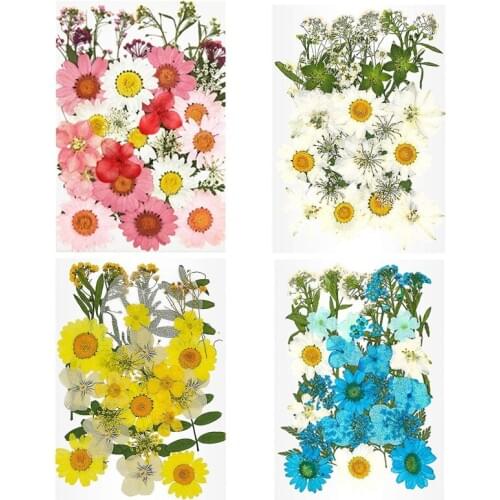 Hot Real Dried Pressed Flowers Leaves Petals for DIY Candle Resin Jewelry Nail Pendant Crafts Making Art Decor