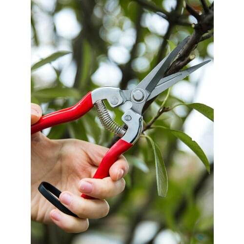 Stainless Steel Gardening Shears Fruit Tree Trimmer Multifunctional Fruit Picking Flowers Tree Branches Flower Branch Trimmer
