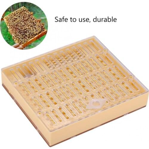 Bee Queen Rearing Cell Cupkit Box Case For Cupularve System Beekeeping Tool power tool