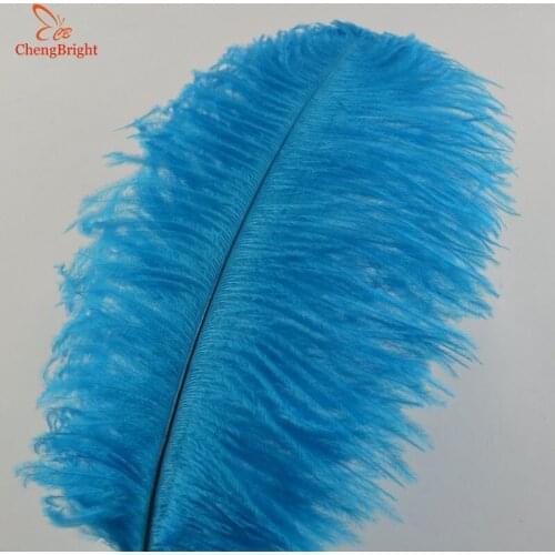 CHENGBRIGHT Hard Rod 10 Pcs/Lot Natural Sky Blue Ostrich Feathers For Crafts 15-70CM Carnival Party Wedding Decorations Plumes