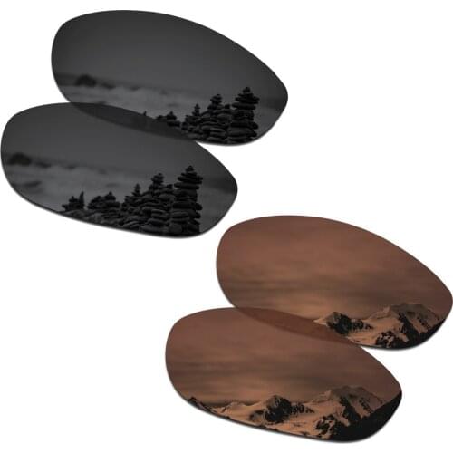 SmartVLT 2 Pairs Polarized Sunglasses Replacement Lenses for Oakley Monster Dog Stealth Black and Amber Brown