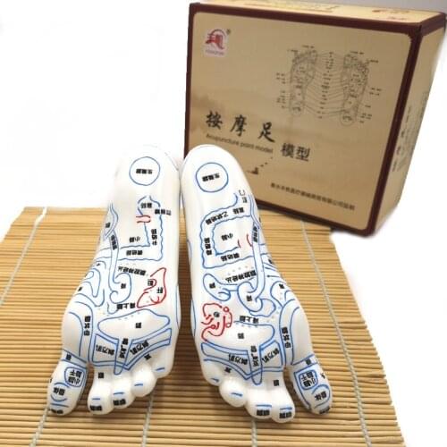 Human 15cm A Pair Foot Massage Model Reflection Area Figure Foot Reflexology Mold White Acupoint