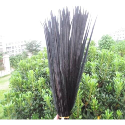 Wholesale 200 pcs beautiful black Pheasant Feather 16-18 inches 40-45 cm free shipping