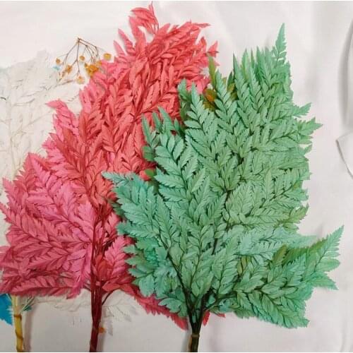 10pcs Artificial Leaves Natural Dried Preserved Plants Fern Leaf, Fleur Room Ornaments Balcony Gazebos Wedding Decoration Table