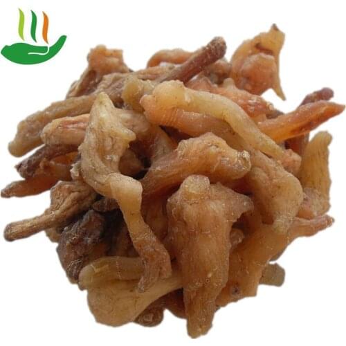 Wild Chicken Head Polygonatum, Chinese Medicinal Materials, Dry Polygonatum