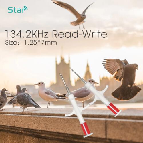 Veterinary dog identificacion rfid animal fish tag rfid pet tracking chip syringe veterinary animal id glass syringe for pet id