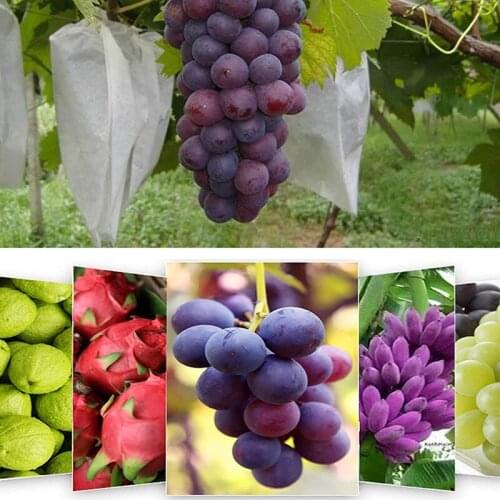 100PCS Fruit Protection Bag Garden Grape Insect Pouch Anti Bird Drawstring Netting Against Pest Control Tool Vegetable Grow Bag