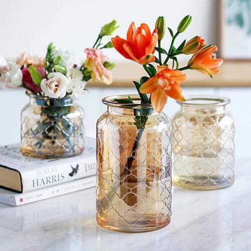Glass Vase Living Room Dried Flowers Nordic Glass Transparent Home Decoration Accessories Flower Vases Tabletop Vase