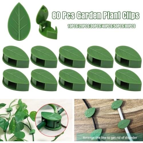 10-80PCS Plant Bracket Invisible Wall Rattan Clamp Clip Invisible Wall Vine Climbing Sticky Hook Self-Adhesive Plant Fixer Stent