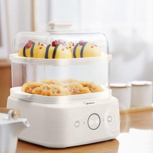 Multifunctional Household Intelligent Single and Double Layer High-value Steamer Electric Steamer Food Warmer Aistan
