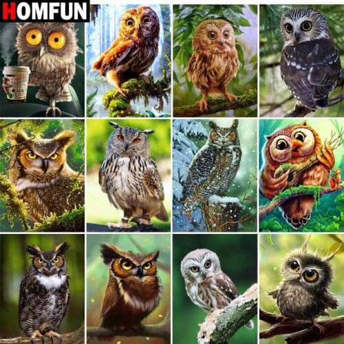 HOMFUN Full Square/Round Drill 5D DIY Diamond Painting "Owl landscapet" Embroidery Cross Stitch 5D Home Decor Gift