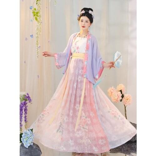 XinHuaEase Oriental Elegant Song Dynasty Hanfu Dresses Clothing Womens Traditional Chinese Style Summer Vintage Ancient Folk