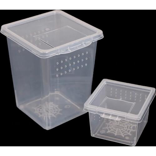Plastic Insect Spider Habitat Feeding Box Case Container Tank Transport Case Hatching Tank New