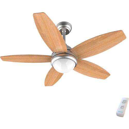 Cecotec Ceiling Lighting