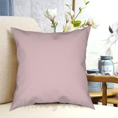 Amaranth Light Pastel Pink Pairs To Sherwin Williams Rose Sw 6296 Pillow Case Printed Home Soft Throw Pillow Solid Color