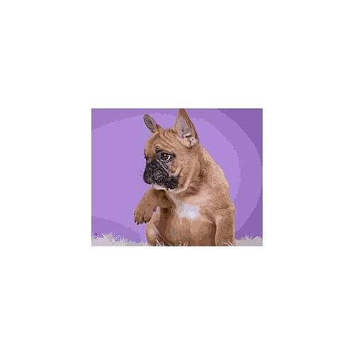 MaHuaf-X1374 French bulldog Dog Puppy painting by numbers hand painted coloring by numbers on canvas for Living Room decor