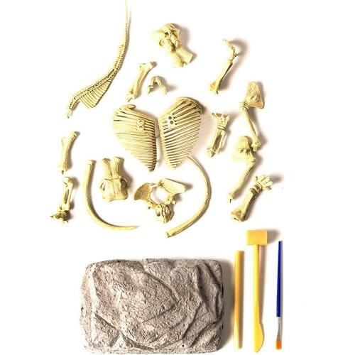 DIY dinosaur skeleton archaeology excavation dinosaur toy model science and education educational educational toys for children