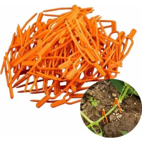 50Pcs Garden Tool Plastic Garden Plant Clips for Trellis Twine Greenhouse Tool Garden Plants Bundled Vines Vegetable Clips