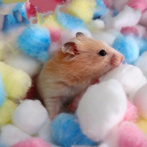 100Pcs/Bag Colorful Winter Keep Warm Cotton Ball Pet Cage Accessories House Filler Hamster Rat Mouse Small Animals Supplies