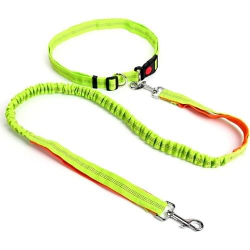 Night Reflective Elastic Nylon Breakaway Leashes Running Hand Free Waist Belt Jogging Leads Retractable Leash For Small Pet Dogs