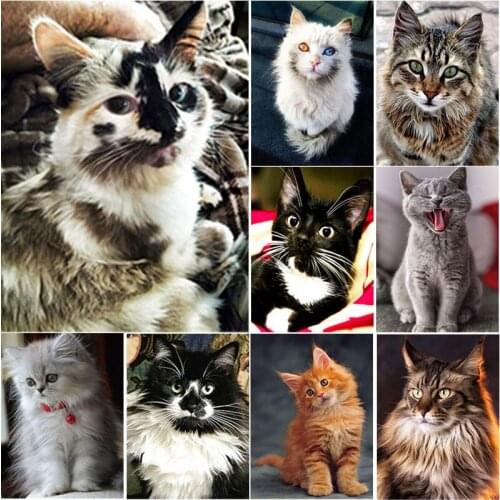 New 5D DIY Diamond Painting Cat Diamond Embroidery Animal Landscape Cross Stitch Crafts Full Square Round Drill Home Decor Gift