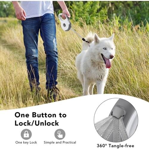 Предметы для ухода за животными DOORSACCERY China At AliExpress