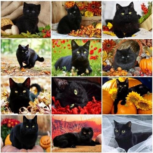 5D DIY Full Square/Round Drill Diamond Embroidery Black Cat Diamond Painting Cross Stitch Rhinestone Scenic Mosaic Decoration