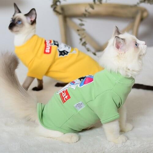 Dog Cat Clothes Autumn and Winter Warm Soft Sphinx Hairless Cat Costume Cat Sweet Hoodies Sphynx Chothing Cat Costumes For Dogs