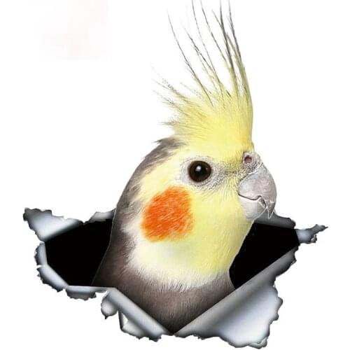 Personality Cockatiel Parrot Lovely Bird Car Sticker Sunscreen Decal Motorcycle Car Accessories Custom Decal Apply To Car Window
