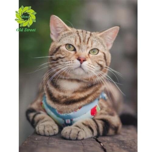 OSH New 5d Full Square&Round Diamond Painting Landscape Animal 5D Diamond Embroidery Mosaic Cross Stitch Animal Home Decor Gift