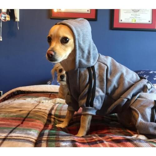 Scheppend Adidog Pet Clothes for Dog Cat Puppy Hoodies Coat Winter Sweatshirt Warm Sweater