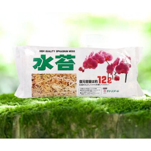 12L Sphagnum Moss Moisturizing Nutrition Organic Fertilizer For Phalaenopsis Orchid Garden Supplies мох Plantas Naturales