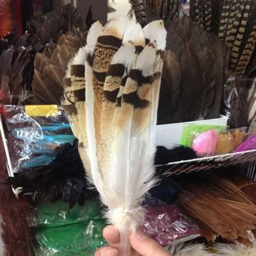Beautiful Natural Eagles' Feathers long 10pcs/lot 20-25 cm rare Feathers For Wedding Christmas Home Craft New Year