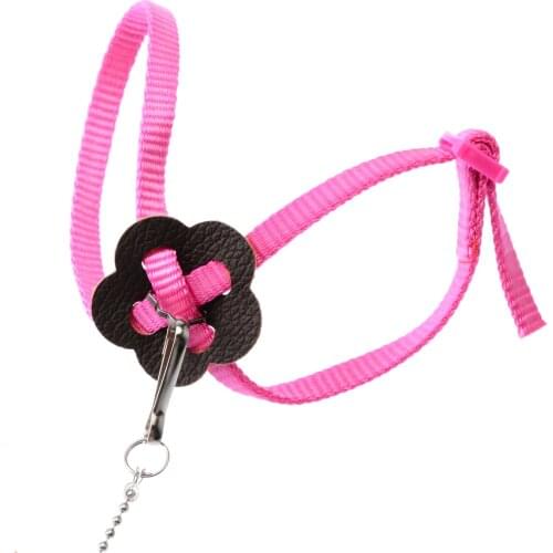 1PC Fiber Anti Bite Flying Band Adjustable Bird Parrot Leash Outdoor Harness Training Rope Random Color 0.8x120cm