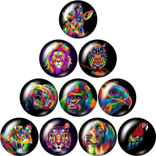 New Colorful painting style animals Owl Lion 10pcs 12mm/18mm/20mm/25mm Round photo glass cabochon demo flat back Making findings