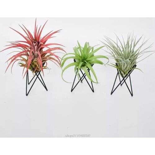 Air Plant Holder Metal Flower Pot Stand Geometric Iron Tillandsia Holder Art Display Home Garden Ornaments JY19 21 Dropshippig