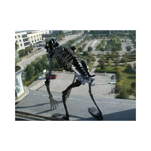 Human skeleton DWG CAD drawing file for cnc laser cutting engraving