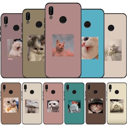 Cat black soft Phone Case for huawei P40 P30 P20 P10 Pro lite P9 Lite nova 4E 6SE Psmart 2019 Y6 9 Prime