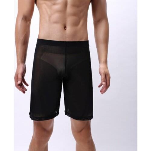 AIIOU Sexy Gay Underwear Mesh Transparent Boxershorts Breathable Male Panties See Through Underpants Erotic Costumes Gay Cueca