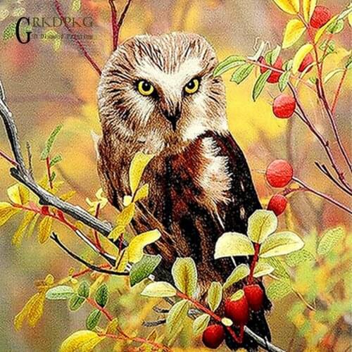 Animal owl drill gift 5d diamond painting full square diamond embroidery Cross stitch pictures of rhinestones Wedding decoration