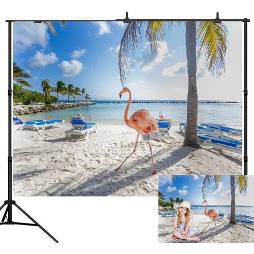 Lyavshi vinyl background for photo studio flamingo beach sea sky cloud natural backdrop call shoot professional